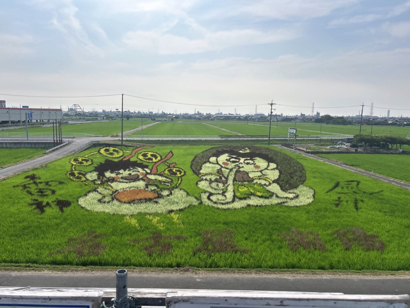 令和7年の田んぼアート（7月）