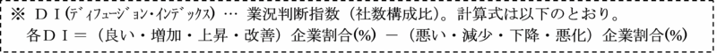 DI解説文