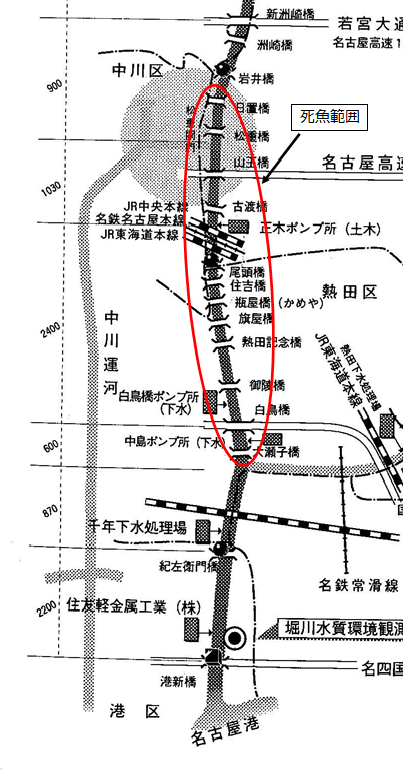 死魚の範囲