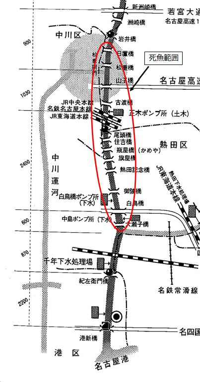 死魚の範囲
