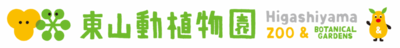 ズーボ