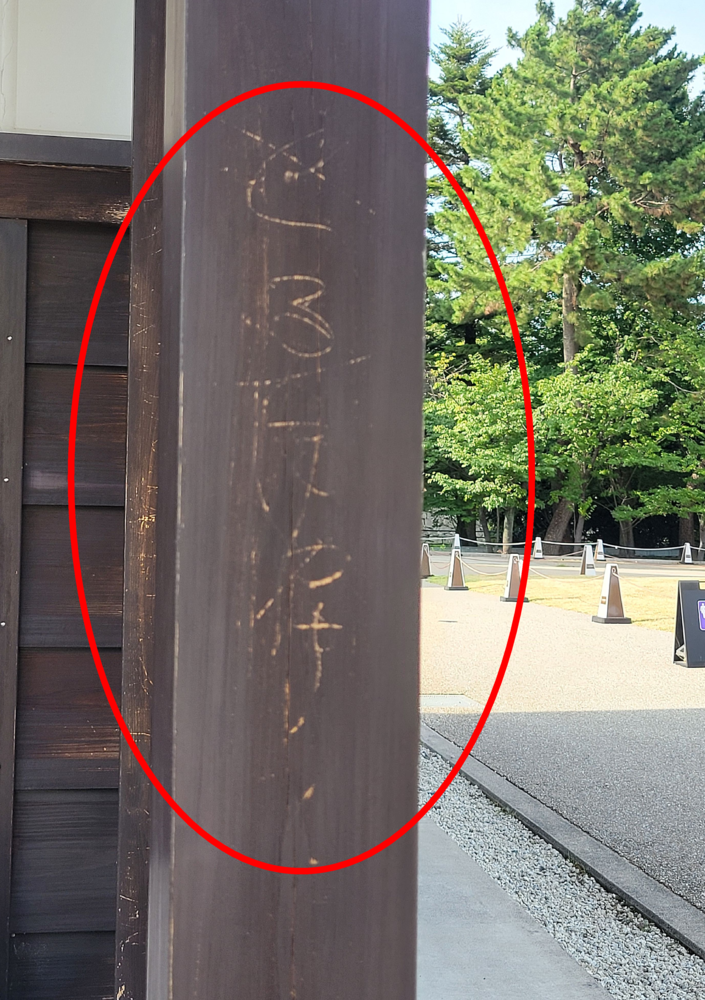 き損写真