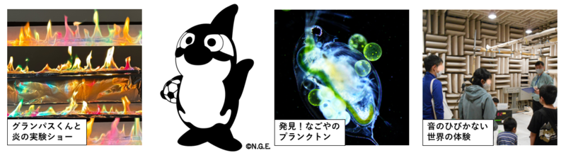 ミジンコ、無響室、炎の写真