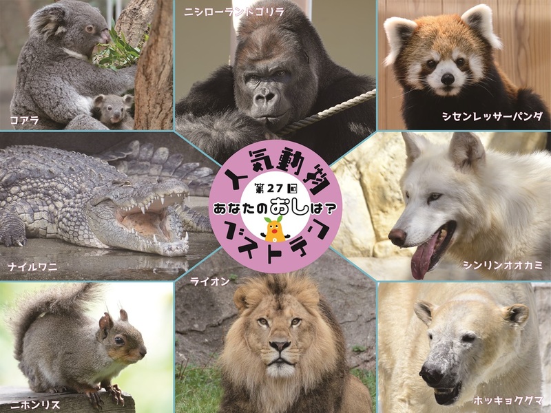 秋まつり