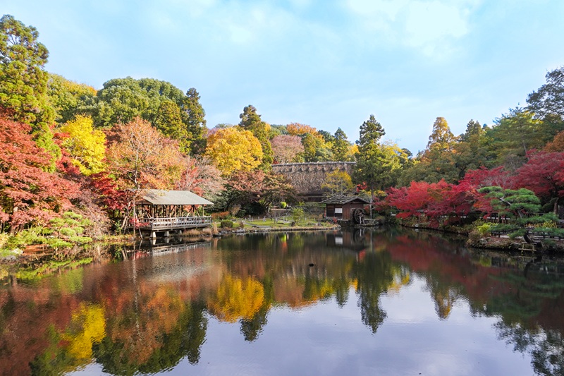 奥池逆さもみじ(昼)
