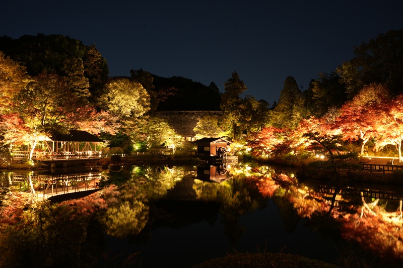 奥池逆さもみじ(夜)