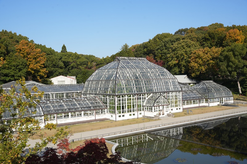 温室前館(昼)