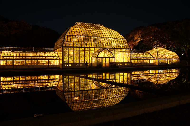 温室前館(夜)