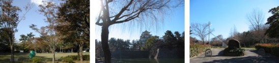 都市公園は、児童の安全な遊び場、市民の休息の場として毎日活発に利用されています。