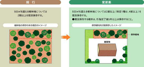 保存緑地の基準の画像