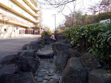 コミュニティ道路の画像