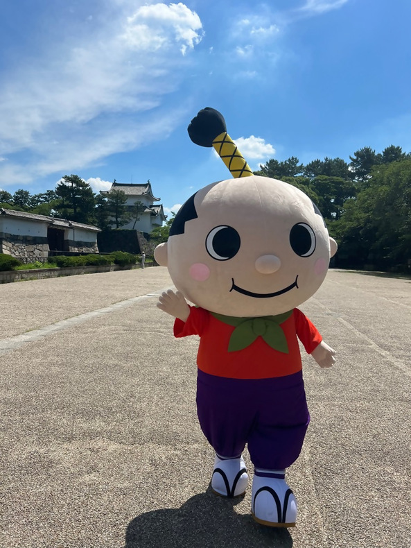 はち丸の画像