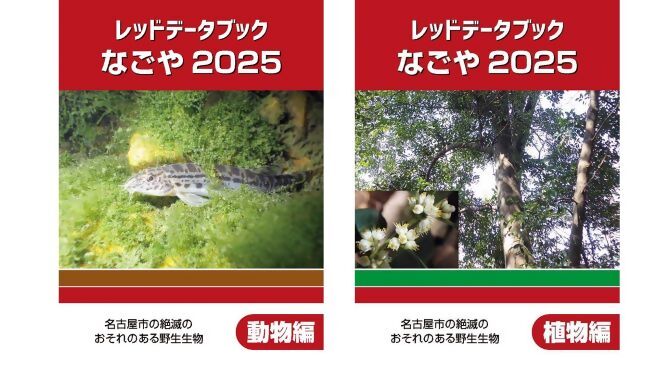 レッドデータブックなごや2025表紙