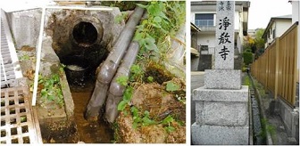 本山エリア調査地点写真