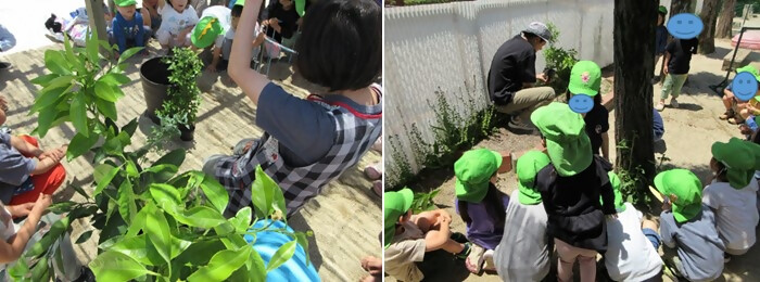 植樹の様子（亀の井保育園）