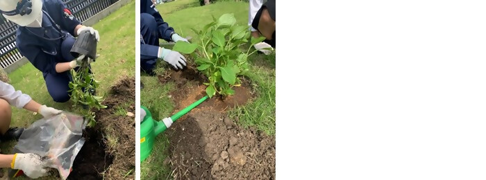 植樹の写真（グリーンサイクル株式会社）