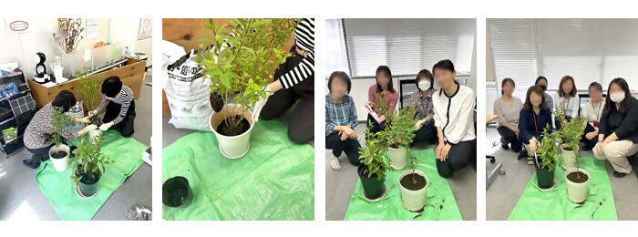 植樹の写真（株式会社マイ.ビジネスサービス.）