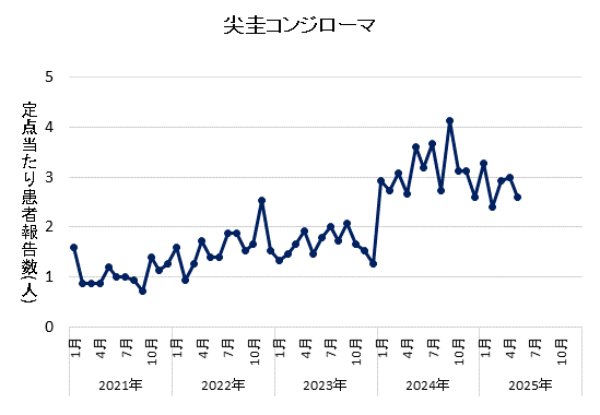 2025年5月の尖圭コンジローマの定点当たり患者報告数は2.60でした。