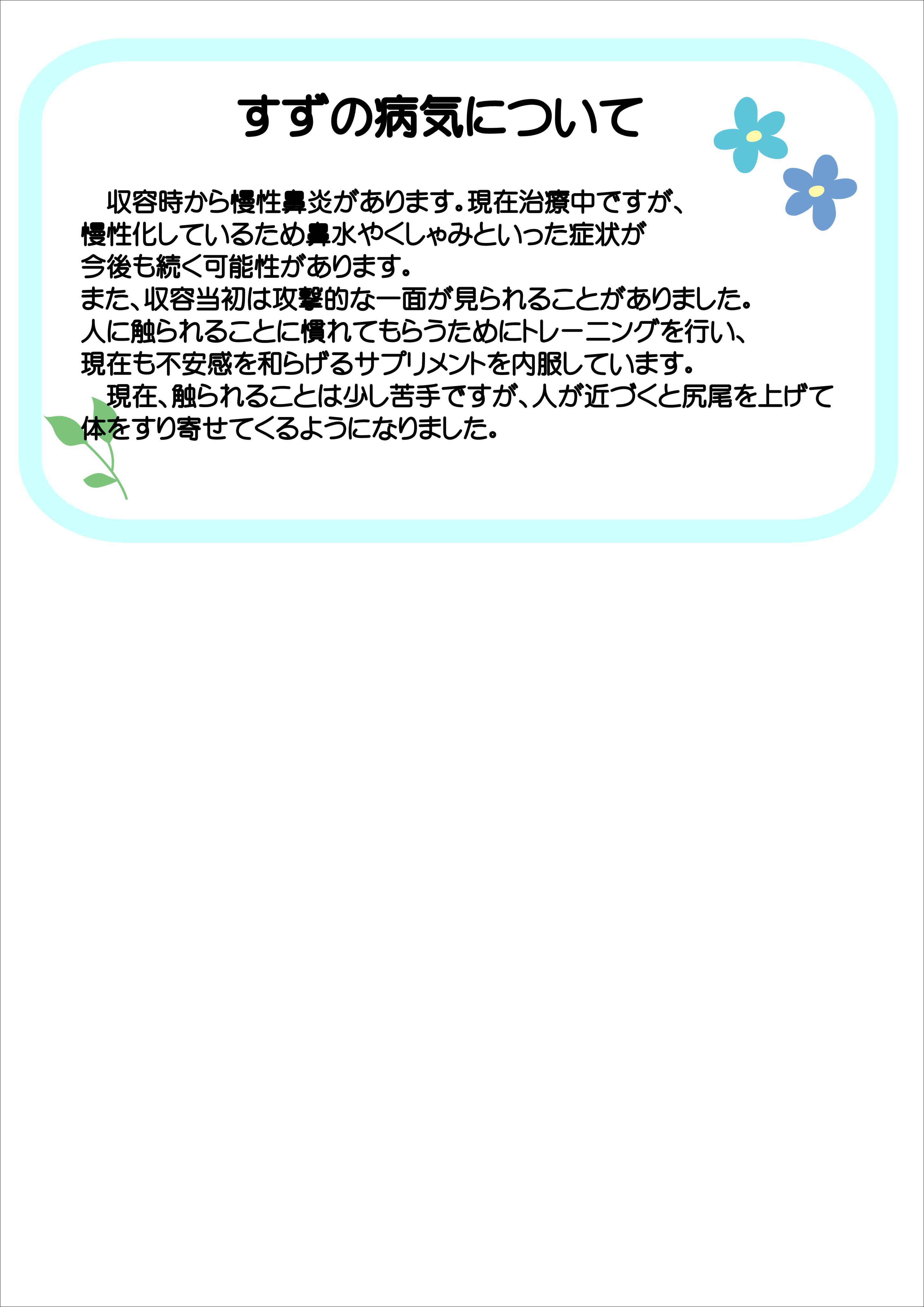 飼主募集中猫すずの健康状態の説明です。