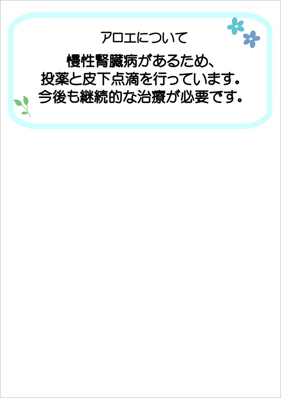 飼主募集中猫アロエの健康状態の説明です。