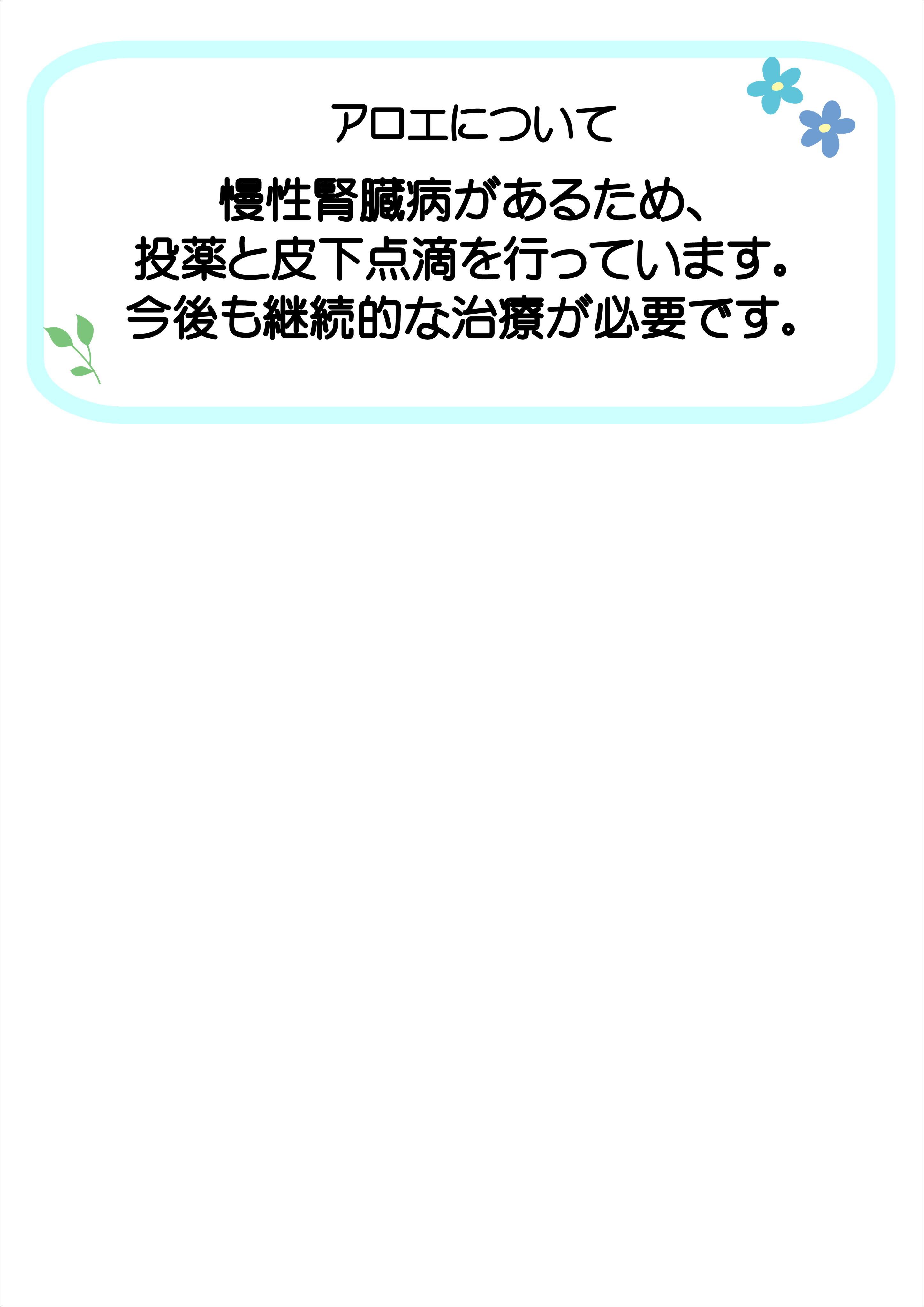 飼主募集中猫アロエの健康状態の説明です。