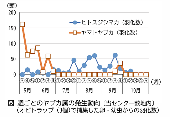 ヤマトヤブカとヒトスジシマカの発生動向のグラフ