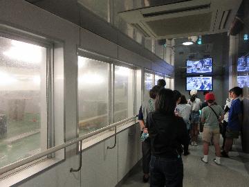 市場の見学風景