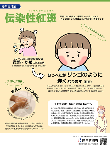 伝染性紅斑啓発ポスター（厚生労働省作成）