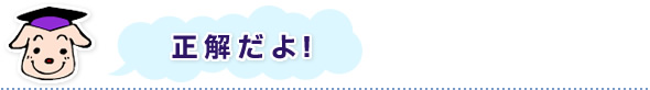 正解だよ!