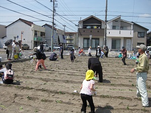苗植え