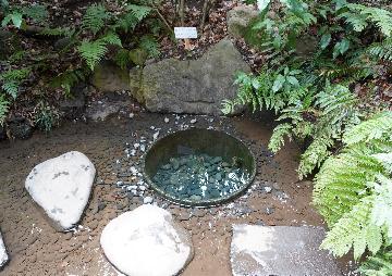 明治神宮御苑にある清正が掘ったと伝えられる井戸