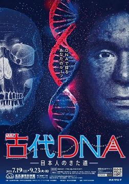 特別展「古代DNA」のチラシ