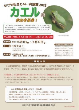 なごや生きもの一斉調査2025 　カエル編のチラシ