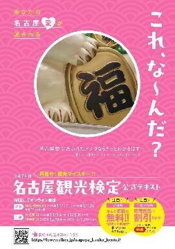 目指せ！観光マイスター！！のチラシ