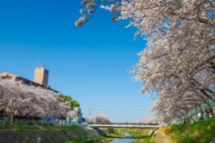 香流川の写真2