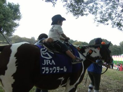 ポニーの試乗体験の様子です。