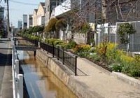 大江川緑地と新田めぐり写真