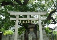 桜田勝景跡と古墳めぐり写真