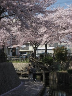 稲永東公園の写真