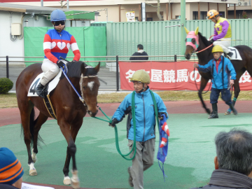 騎手を乗せ厩務員に引かれてパドックを回る出走馬