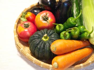 新鮮な野菜の画像
