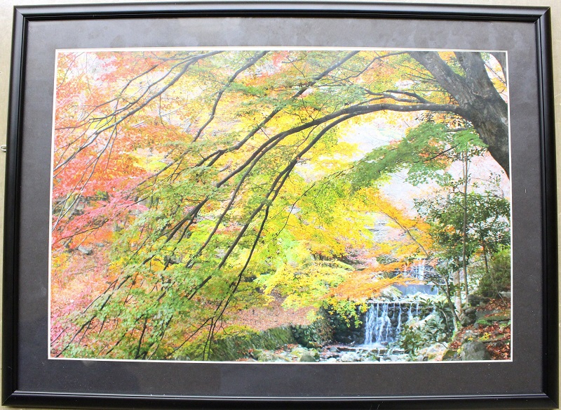 写真の部市長賞作品画像