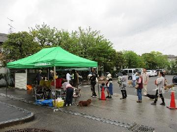 狂犬病予防集合注射の写真