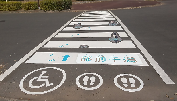 サッカー場北側 横断歩道風のサインの画像