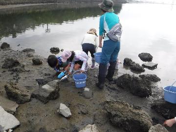 過去の藤前干潟生き物観察会の様子