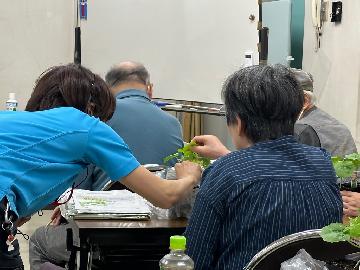 緑のカーテンづくり講習会2