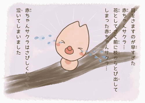 泣いている赤ちゃんサクラ