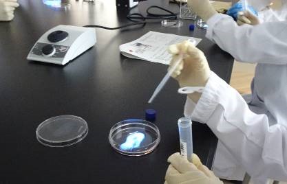 あなたも科捜研の一員になれる？夏の薬学教室！