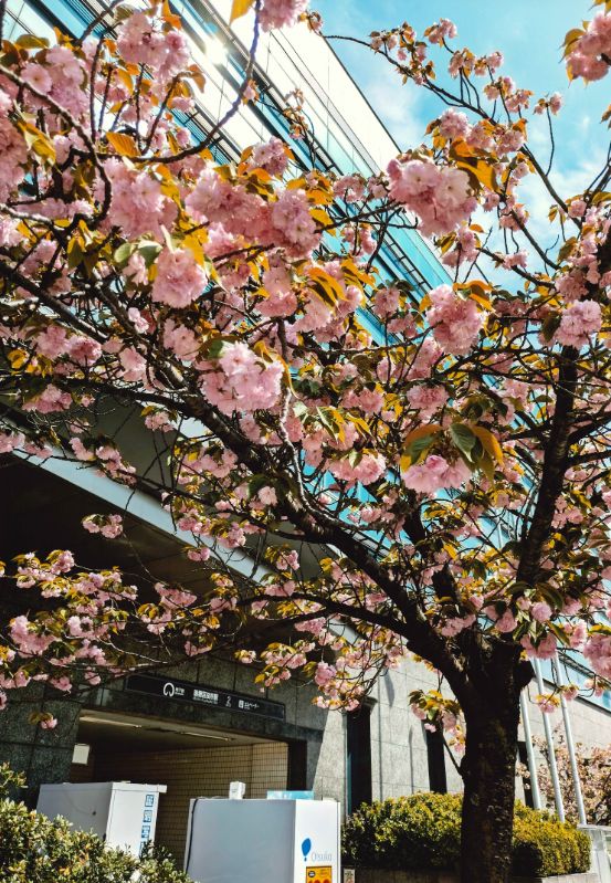 瑞商連賞「瑞穂通の花暦」