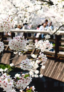 瑞商連賞「歓笑の声、ききながら」